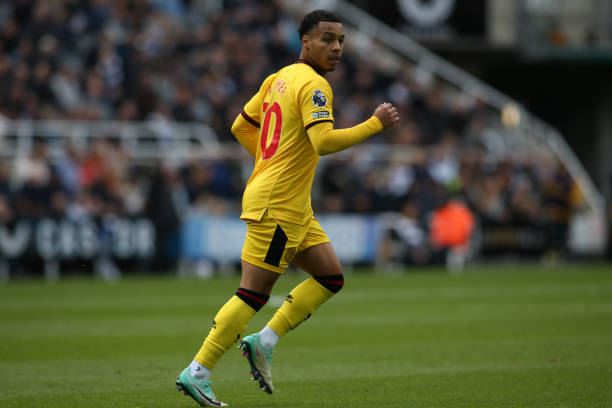 和果断的销 和果断的销