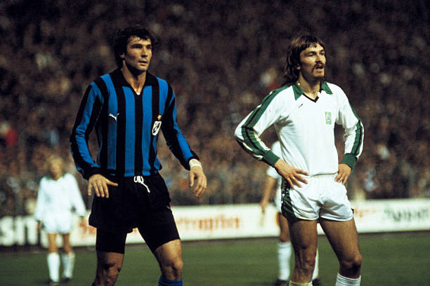 年来发展迅 年来发展迅